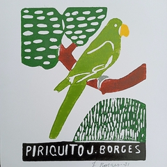 Piriquito P J Borges