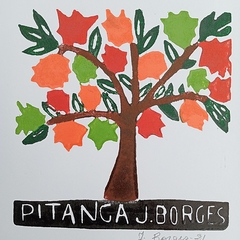 Pitanga P Color