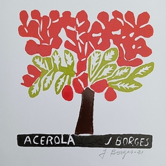 Acerola P Color