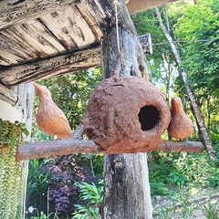 Casa João De Barro Ba - loja online