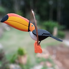 Tucano Miriti