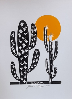 Cactos P