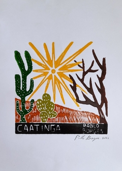 Caatinga P Color Pablo