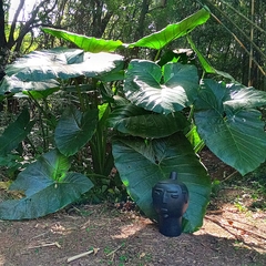 Imagem do Cabeça Mulher G Preta Neguinha E Nanai Pe 46Cm