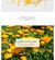 Nacific - Real Floral Toner Calendula 180ml RENOVADO en internet