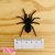 Recorte de feltro - Kir de Recorte de Aranhas - 12 peças - comprar online