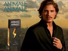 LACRADO - Animale Animale Men Eau de Toilette - ANIMALE na internet