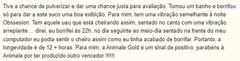 LACRADO - Animale Gold Eau de Toilette - ANIMALE - PRAZO DE POSTAGEM DIFERENTE, leia a descrição! - loja online