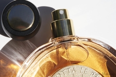 DECANT NO FRASCO - Terracotta Le Parfum edt - GUERLAIN na internet