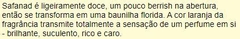 LACRADO - Safanad Eau de Parfum - PARFUMS DE MARLY - PRAZO DE POSTAGEM DIFERENTE, leia a descrição! - Mac Decants