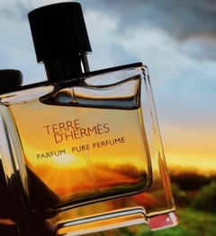 DECANT NO FRASCO - Terre D'Hermès Pure Parfum - HERMÈS - PRAZO DE POSTAGEM DIFERENTE, leia a descrição! - comprar online
