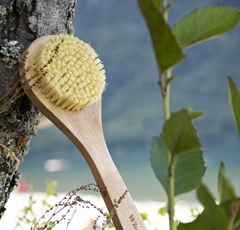 Cepillo Corporal Missouri Bambú Cerdas Naturales Wholegreen - comprar online