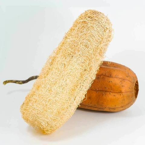 Esponja vegetal luffa natural exfoliante unidad