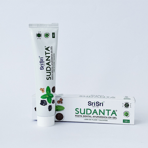 PASTA DENTAL AYURVÉDICA SUDANTA EN GEL MENTA CON CARBÓN ACTIVADO 100