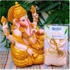 BOLSITA AROMÁTICA VAINILLA SRI SRI TATTVA AYURVEDA