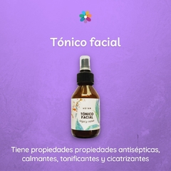 KIT CUIDADO FACIAL NATURAL COMPLETO VÉTER BIOCOSMÉTICA en internet