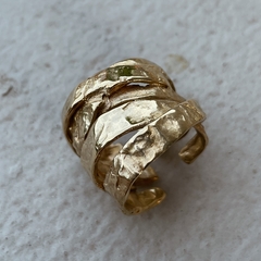 Anillo Risco