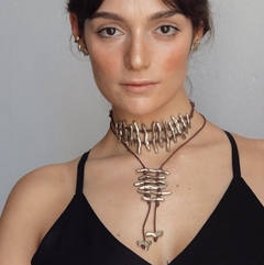 COLLAR VERTEBRATO