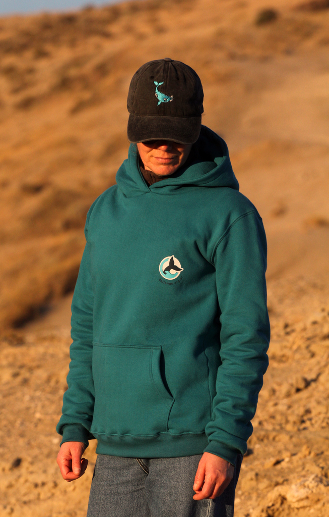Buzo hoodie sales