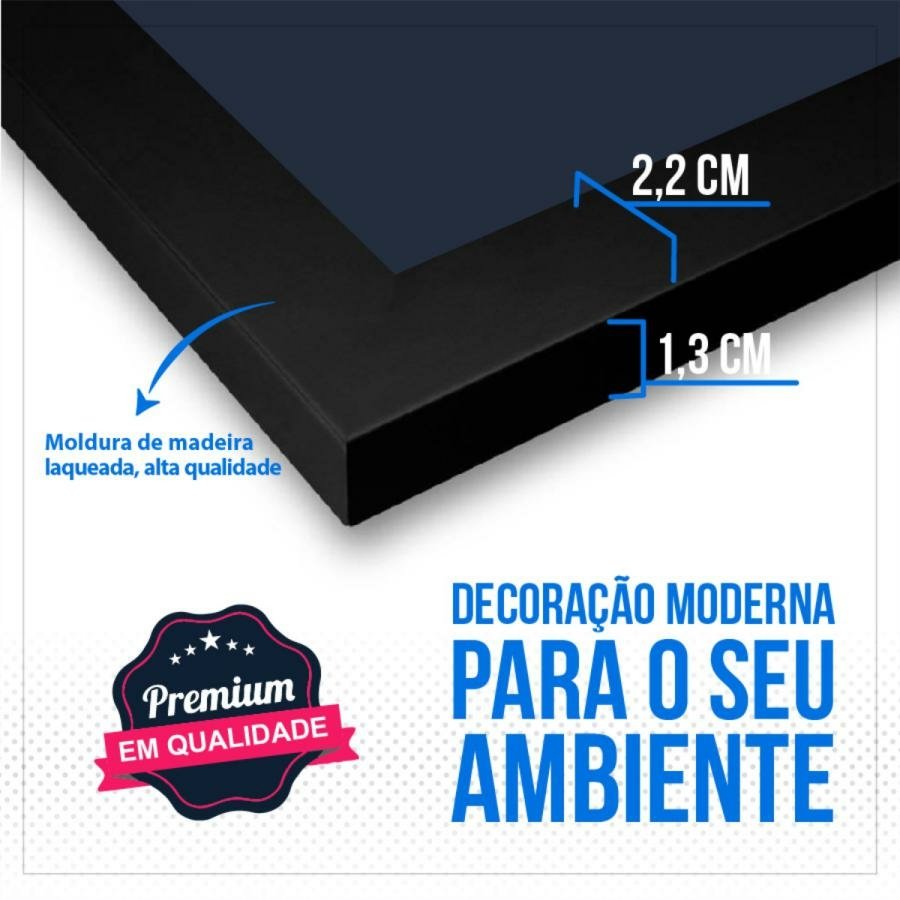 Quadro cacto preto e branco  Produtos Personalizados no Elo7