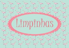Kit de tecidos para necessaire Sujinhas e Limpinhas Flamingos - comprar online
