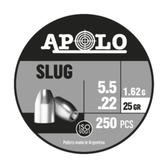 RIFLE CHIEF II BEEMAN + 2 LATAS BALINES SLUG 25 GR 5.5 X 250 - comprar online