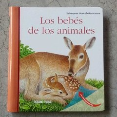 LOS BEBÉS DE LOS ANIMALES