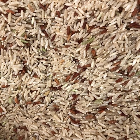 ARROZ INTEGRAL AGULHA C/ VERMELHO | 100g