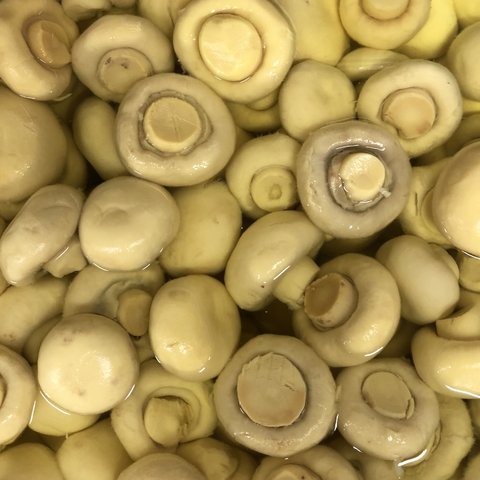 CHAMPIGNON MÉDIO INTEIRO | 100g