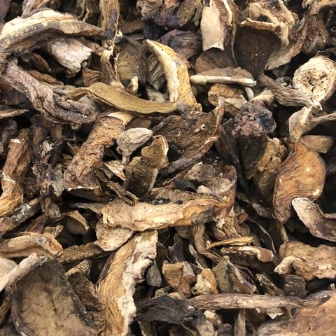 FUNGHI PORCINI SECO | 50g