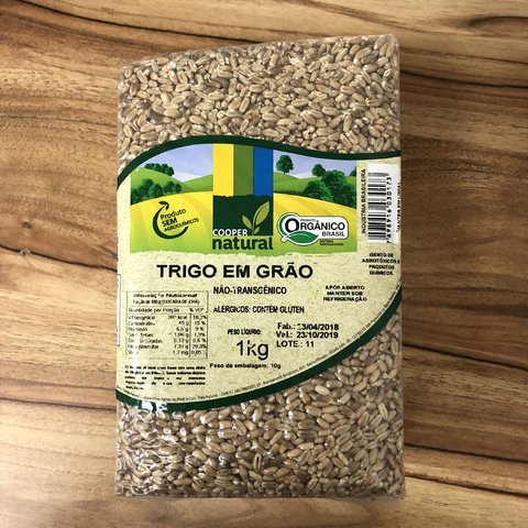 TRIGO EM GRÃO ORGÂNICO | 1KG | COOPER