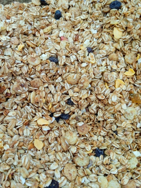 GRANOLA TRADICIONAL ZERO - BIOSOFT | 100G