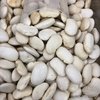 FEIJÃO BRANCO (FAVA CHILENA) | 100g - comprar online