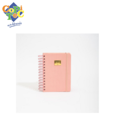 AGENDA FW DIARIO C/ESPIRAL 12X17 PASTEL 2204 - comprar online