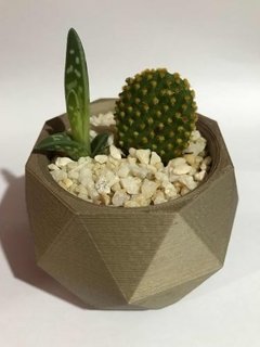 Macetas 3d Catus Suculenta Souvenirs Ideal Para Regalo - comprar online