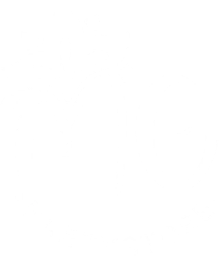 MG PARTY STORE