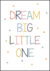 Quadro Decorativo Infantil - Dream Big (Color)