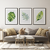 Quadro Decorativo - trio: folhagem aquarela - comprar online