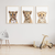 Quadro Decorativo Infantil - Trio: Safari - Tigre, Leão e Leopardo