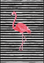 Quadro Decorativo - Flamingo II