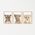 Quadro Decorativo Infantil - Trio: Safari - Tigre, Leão e Leopardo na internet
