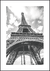 Quadro Decorativo - Torre Eiffel (P&B)
