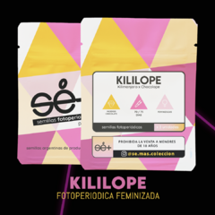 Fotoperiodica Kililope x 3 semillas Sé+ Colección