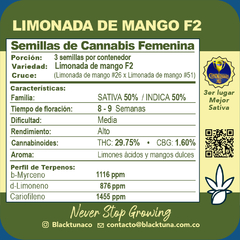 Fotoperiodica Limonada de Mango F2 x 3 semillas Black Tuna - comprar online