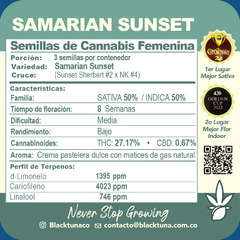 Fotoperiodica Samarian Sunset x 3 semillas Black Tuna - comprar online