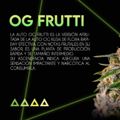 Autofloreciente OG Frutti x 3 semillas Sé+ Colección - comprar online