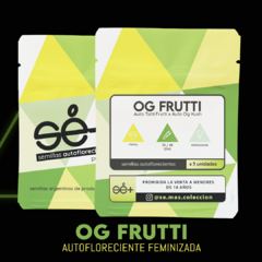 Autofloreciente OG Frutti x 3 semillas Sé+ Colección