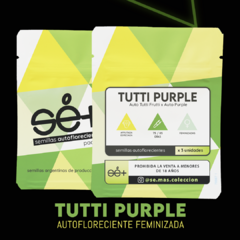 Autofloreciente Tutti Purple x 3 semillas Sé+ Colección