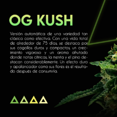 Autofloreciente OG Kush x 3 semillas Sé+ Colección - comprar online