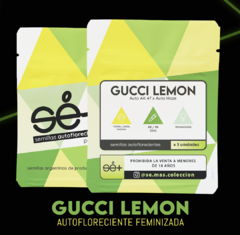 Autofloreciente Gucci Lemon x 3 semillas Sé+ Colección